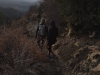 On the trail
